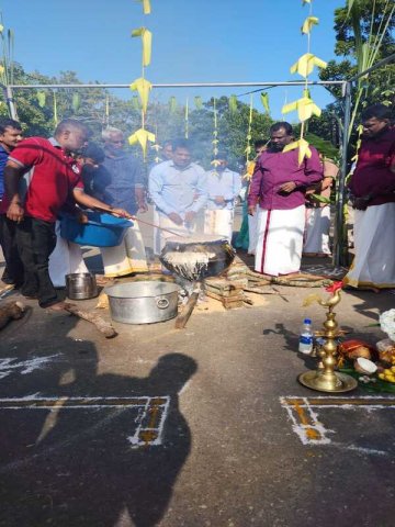 Thaipongal_Festival_2024